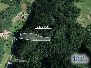Prodej lesa, Letovice, 2436 m2