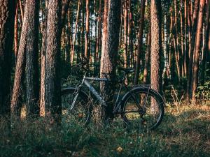 Prodej lesa, Chyňava, 3078 m2