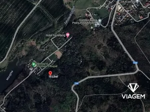 Prodej lesa, Libeř, 912 m2