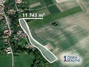 Prodej pole, Lozice, 11743 m2