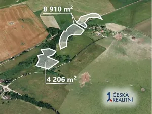 Prodej podílu lesa, Česká Lípa, 6558 m2