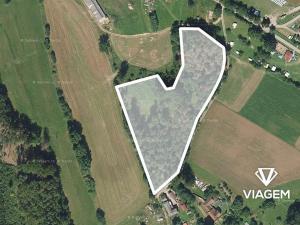 Prodej podílu lesa, Světlá nad Sázavou, 5589 m2