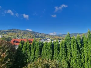 Prodej rodinného domu, Vrbno pod Pradědem, 123 m2