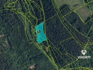 Prodej lesa, Všelibice, 4954 m2