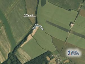 Prodej lesa, Jeseník nad Odrou, 3794 m2