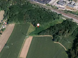 Prodej lesa, Dětmarovice, 3667 m2