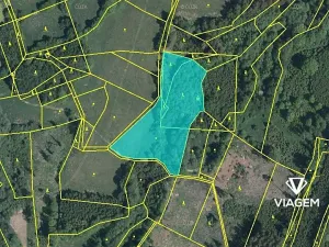 Prodej podílu lesa, Kaliště, 2503 m2