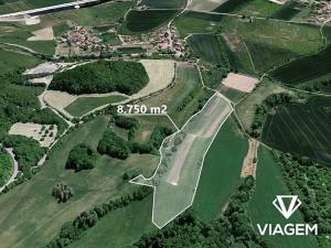 Prodej podílu pole, Velemín, 8749 m2