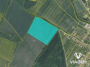 Prodej podílu pole, Nezdenice, 1098 m2