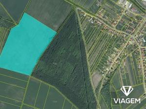 Prodej podílu pole, Nezdenice, 1820 m2