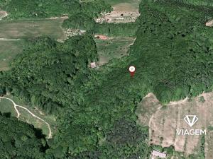 Prodej podílu lesa, Košíky, 2115 m2