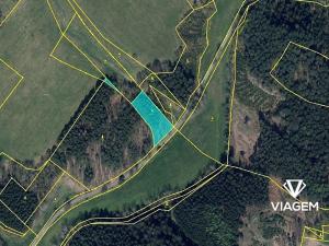 Prodej podílu lesa, Dubnice, 352 m2