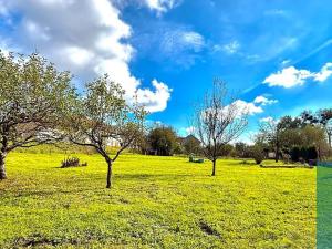 Prodej zahrady, Chropyně, 758 m2