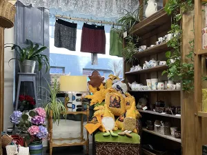 Prodej obchodního prostoru, Žamberk, Kostelní, 86 m2