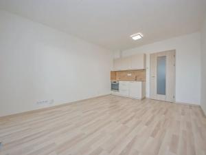 Pronájem bytu 1+kk, Praha - Michle, Krnkova, 35 m2