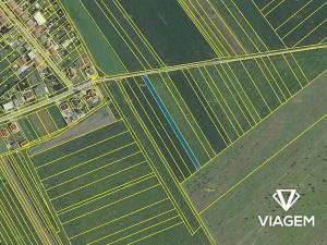 Prodej podílu pole, Rakvice, 458 m2