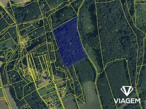 Prodej podílu lesa, Doubrava, 1081 m2