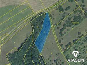 Prodej podílu pole, Veselíčko, 682 m2