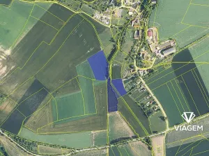 Prodej podílu pole, Rtyně v Podkrkonoší, 616 m2