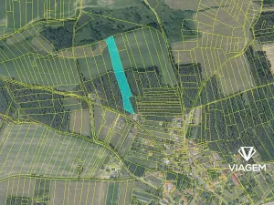 Prodej podílu pole, Kvášňovice, 1775 m2