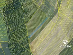 Prodej pole, Silůvky, 2305 m2