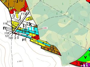 Dražba lesa, Žirovnice, 2356 m2