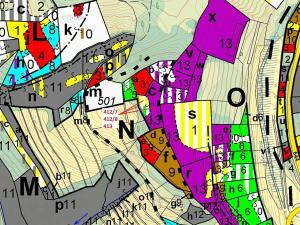 Dražba lesa, Vranová Lhota, 3744 m2