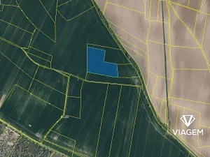 Prodej pole, Vinařice, 10484 m2