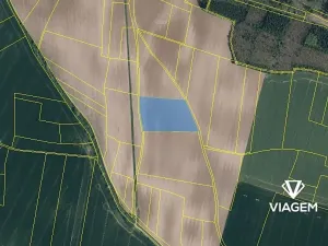 Prodej pole, Vinařice, 12754 m2