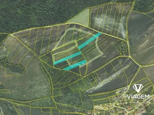 Prodej podílu pole, Vonoklasy, 6942 m2