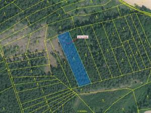 Dražba lesa, Milavče, 3695 m2