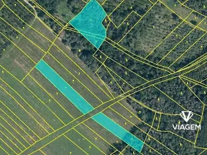 Prodej podílu pole, Horušice, 1624 m2