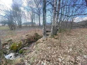 Dražba louky, Bartošovice v Orlických horách, 5738 m2