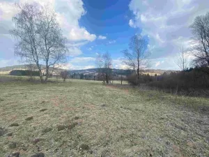 Dražba louky, Bartošovice v Orlických horách, 5738 m2