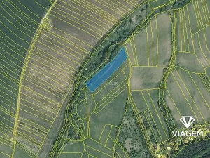 Prodej podílu pole, Roštín, 1315 m2