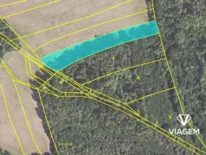 Prodej podílu pole, Pozdeň, 4004 m2