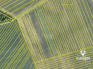 Prodej pole, Kozojídky, 867 m2