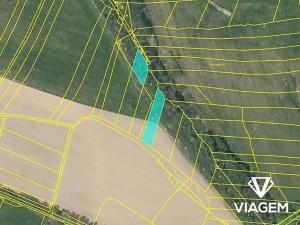 Prodej pole, Radenín, 2892 m2