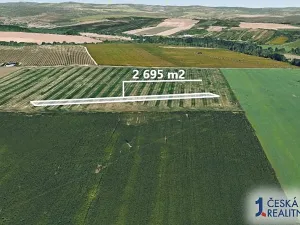 Prodej podílu pole, Staré Město, 1048 m2