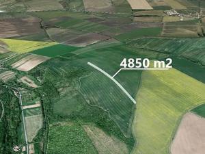 Prodej pole, Velká nad Veličkou, 4850 m2