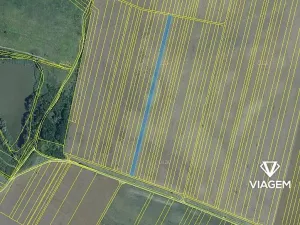 Prodej podílu pole, Hlohovec, 3698 m2