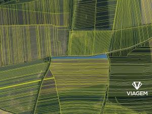 Prodej pole, Kněždub, 6791 m2