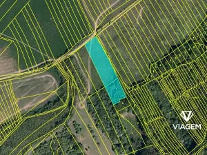 Prodej podílu pole, Částkov, 5443 m2