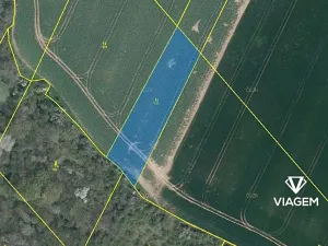 Prodej pole, Vysoká, 2462 m2