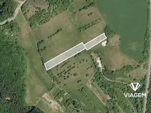 Prodej podílu pole, Pašovice, 1177 m2