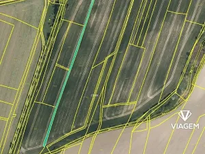 Prodej podílu pole, Holice, 1845 m2