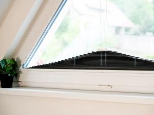 Prodej bytu 2+kk, Havlíčkova Borová, Drahotín, 54 m2