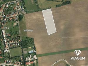 Prodej podílu pole, Soběchleby, 1254 m2