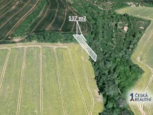 Prodej pole, Traplice, 537 m2