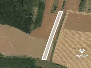 Prodej podílu pole, Částkov, 2904 m2